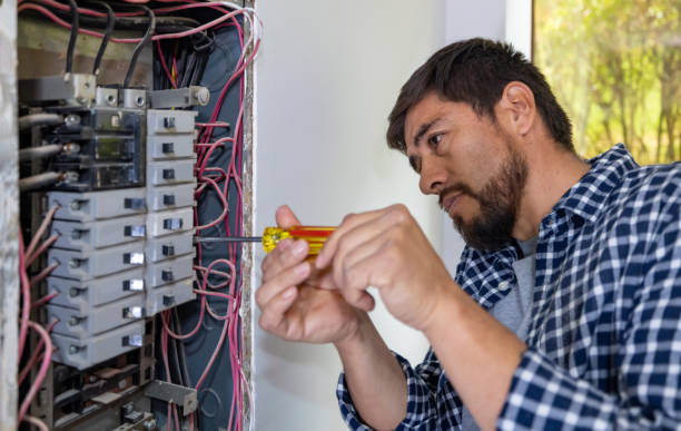 Best Electrical Upgrades for Homes  in Milton, NY